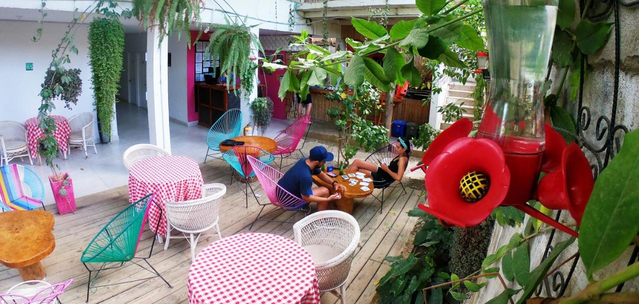 casa-colibri-palomino-4 La Guajira Casa Colibri Palomino photo: 5