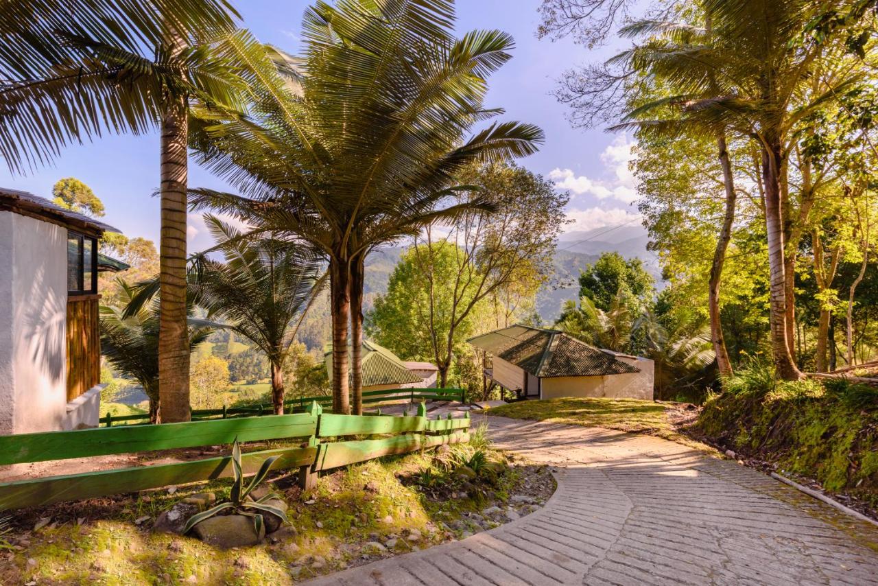 hotel-kawa-mountain-retreat-3 Salento Hotel Kawa Mountain Retreat photo: 5