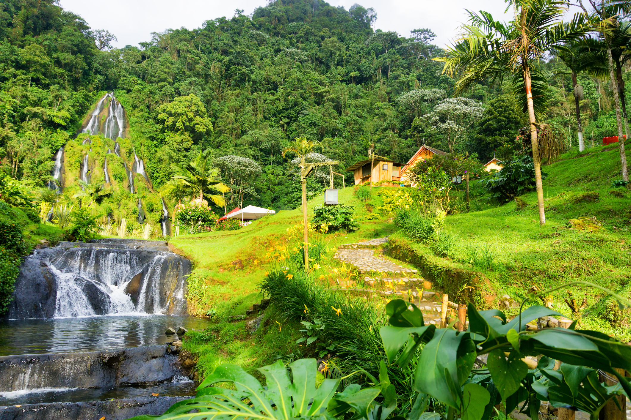 hoteles en pereira
