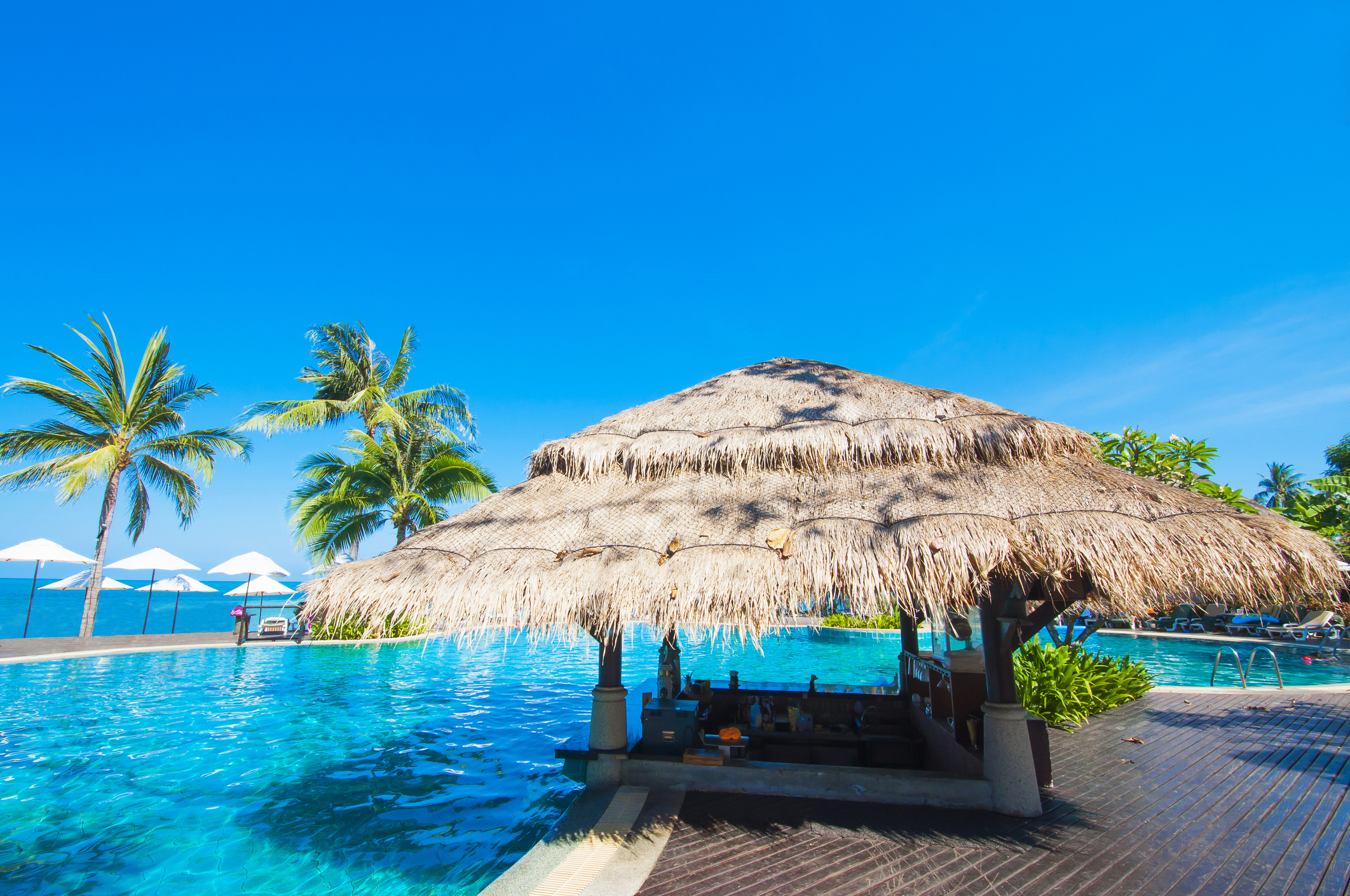 Tropical pool and bar beside the sea