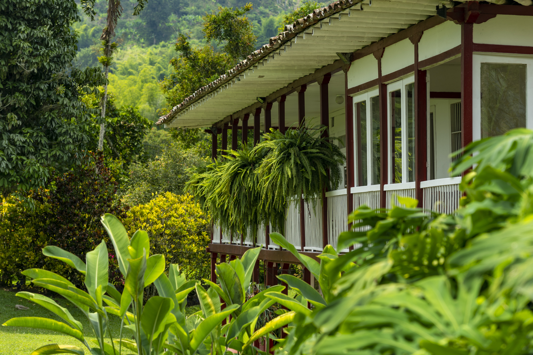 hotel campestre manizales