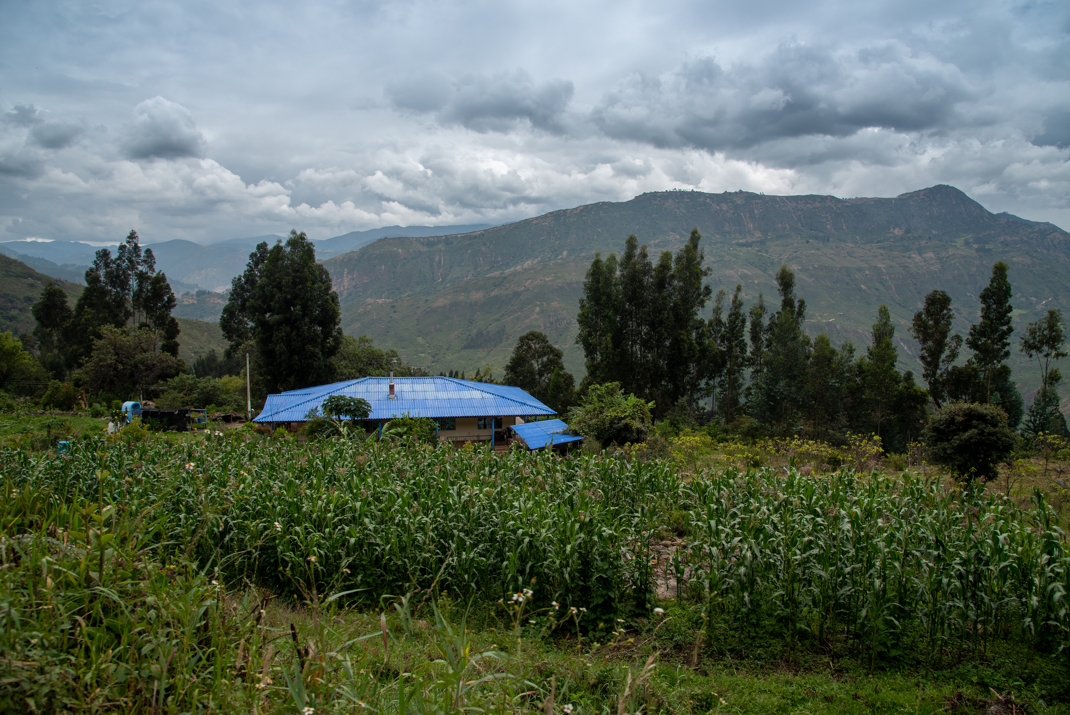 glamping region andina