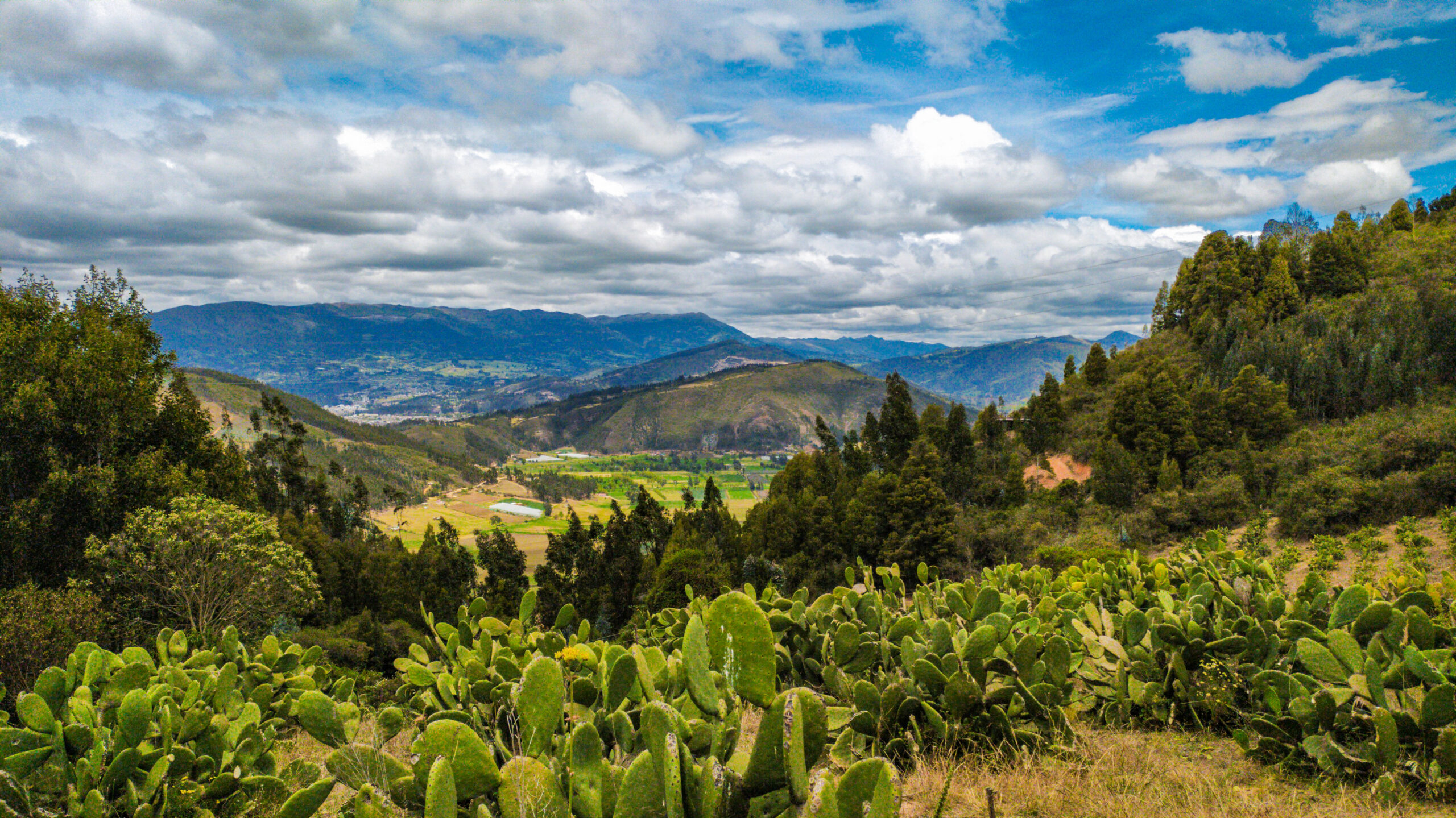 hoteles duitama boyaca